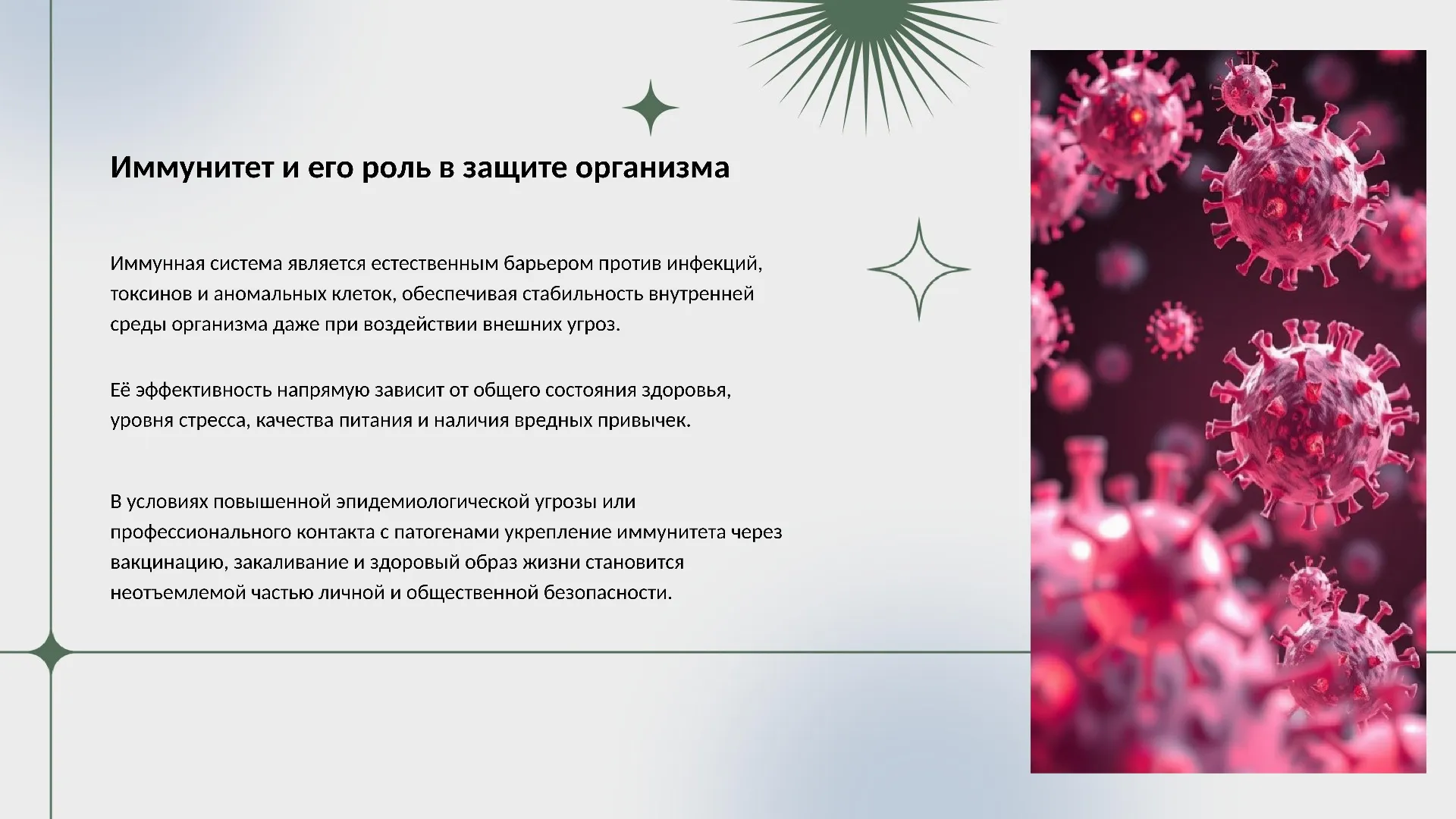 Иммунитет и его роль в защите организма
