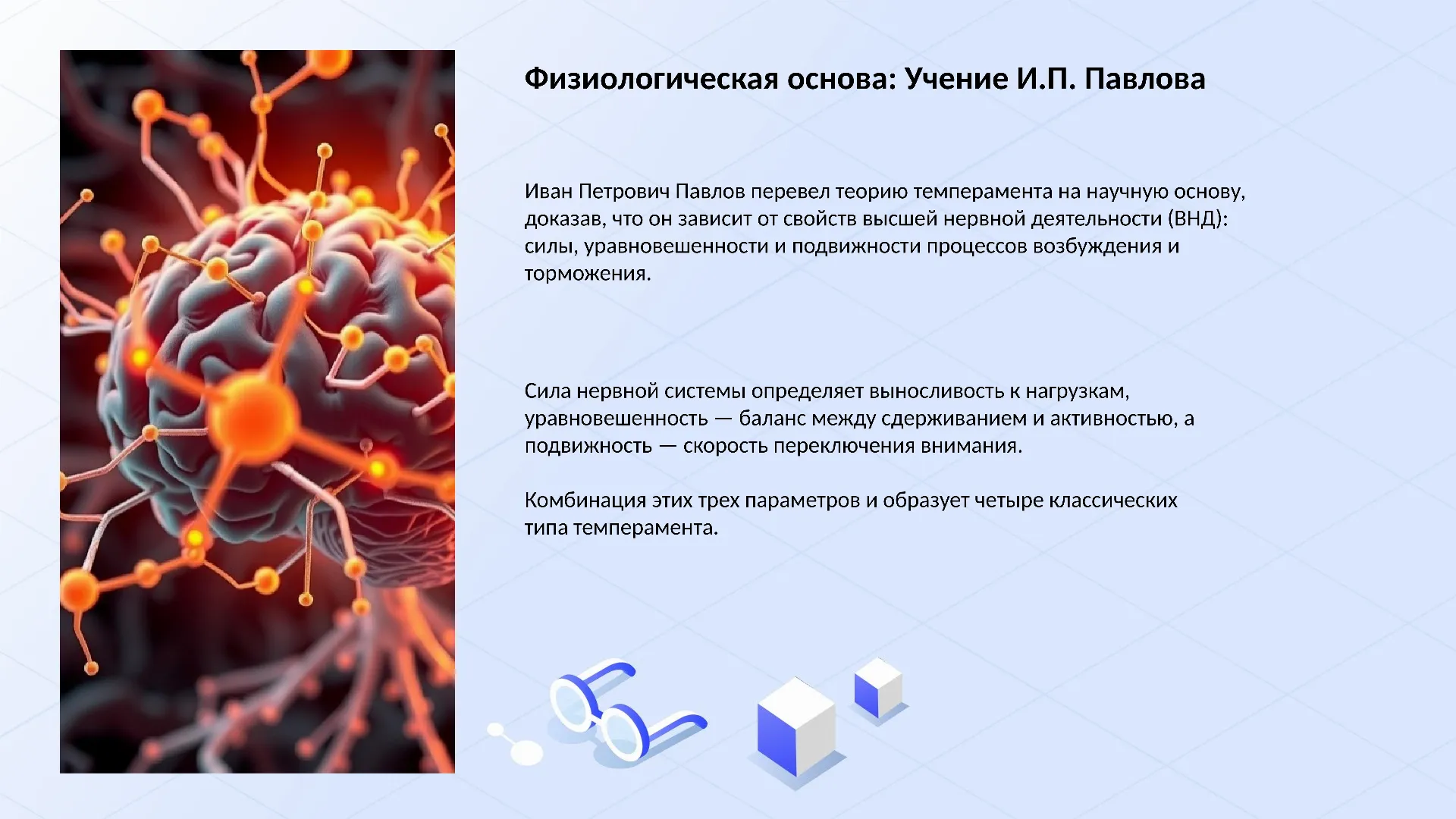 Физиологическая основа: Учение И.П. Павлова