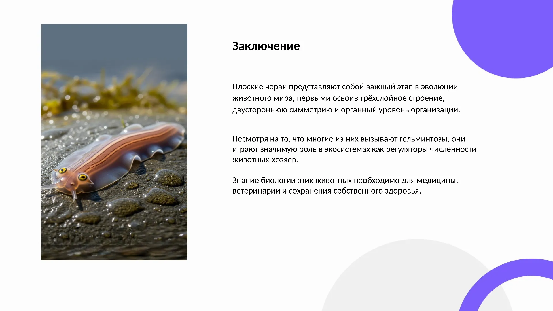 Заключение