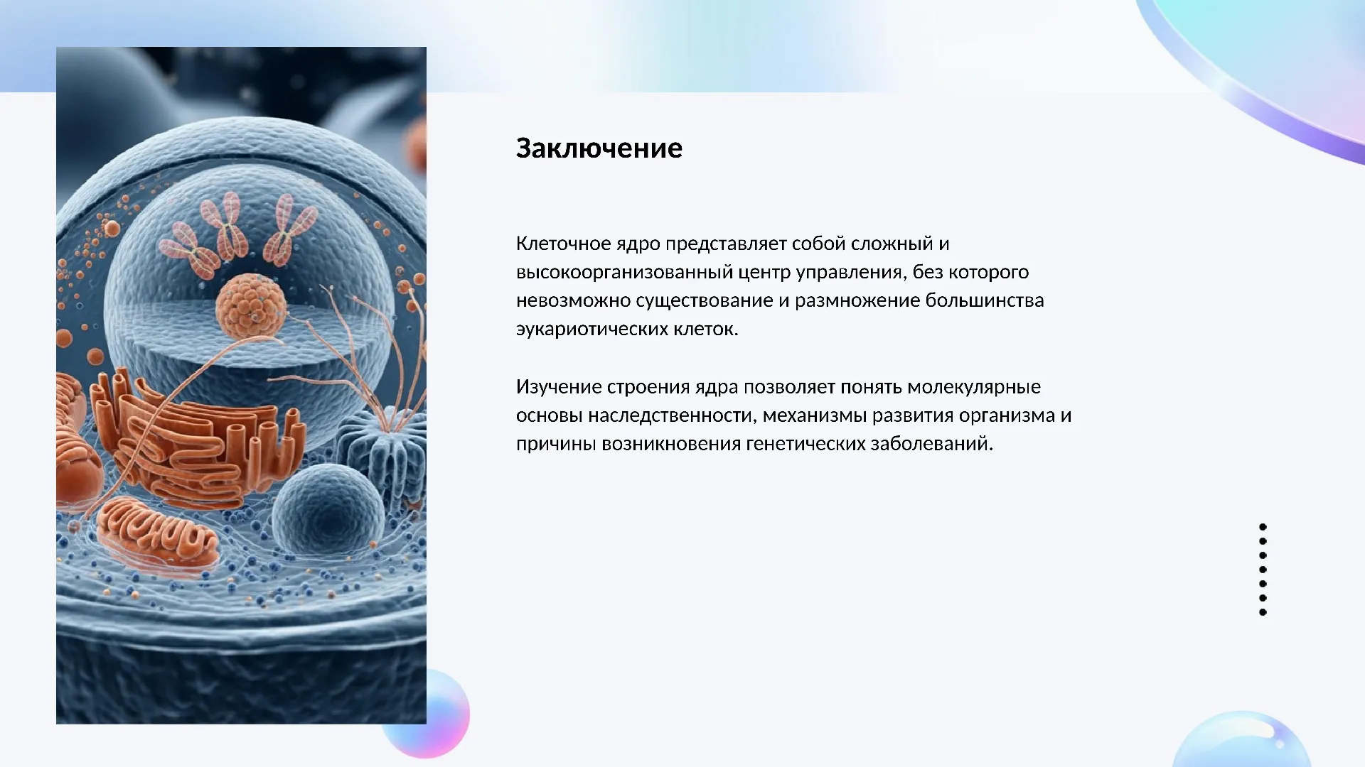 Заключение