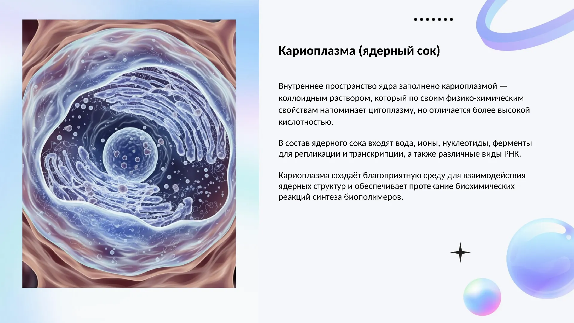 Кариоплазма (ядерный сок)
