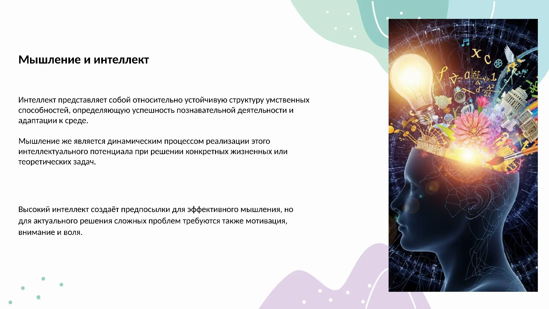 Мышление и интеллект