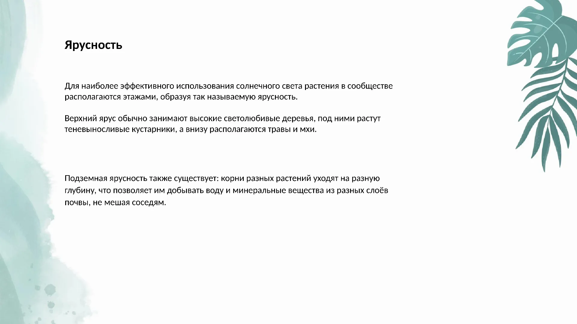 Ярусность