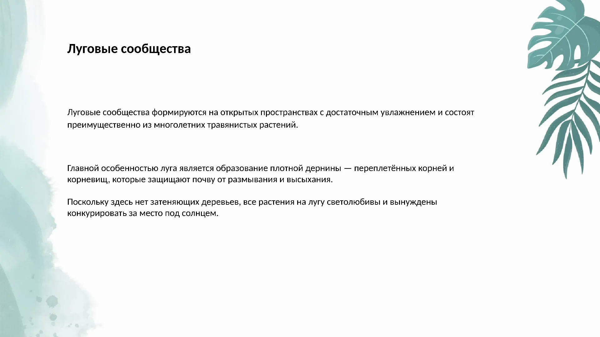 Луговые сообщества