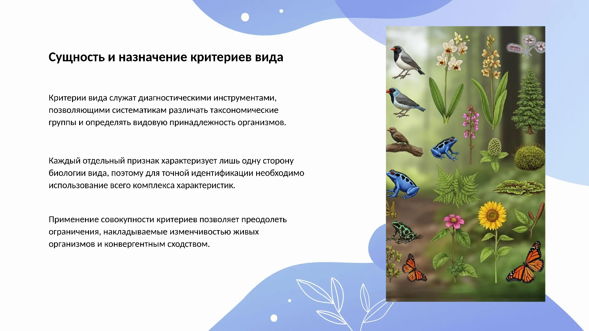 Сущность и назначение критериев вида