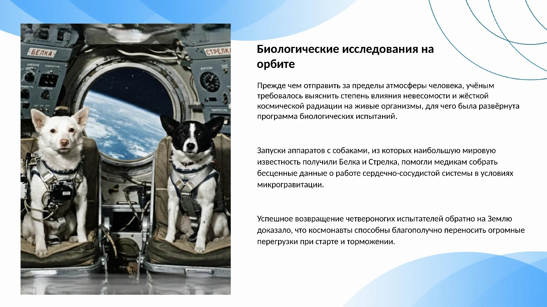 Биологические исследования на орбите