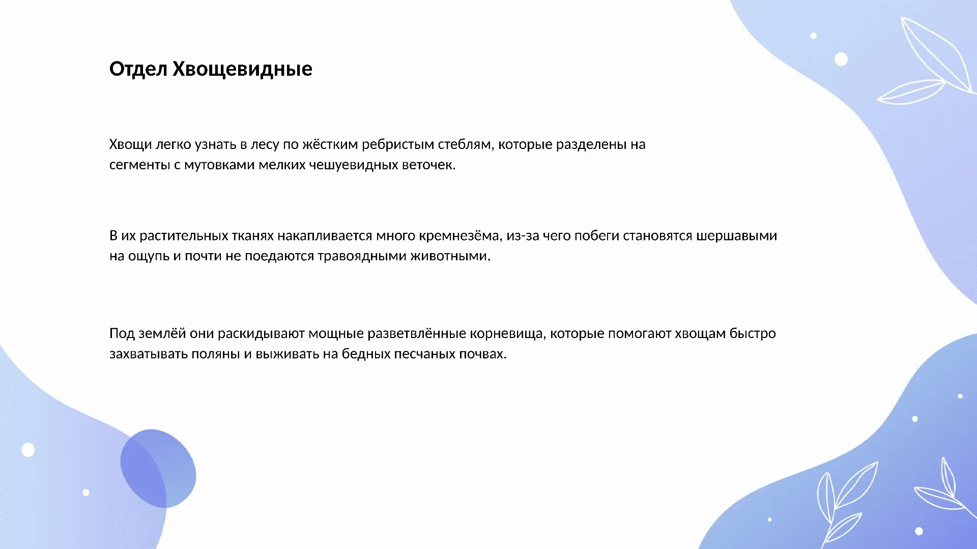 Отдел Хвощевидные