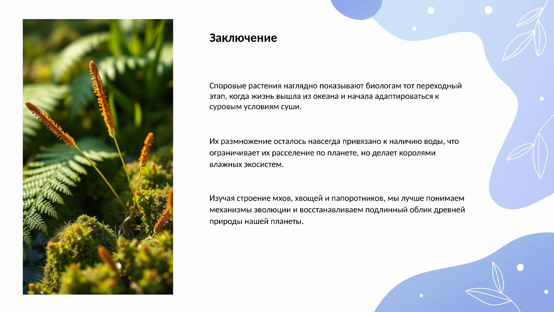 Заключение