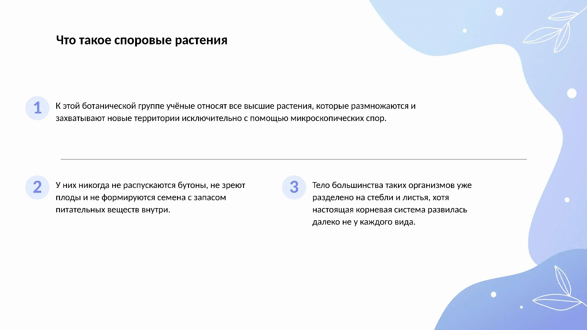 Что такое споровые растения