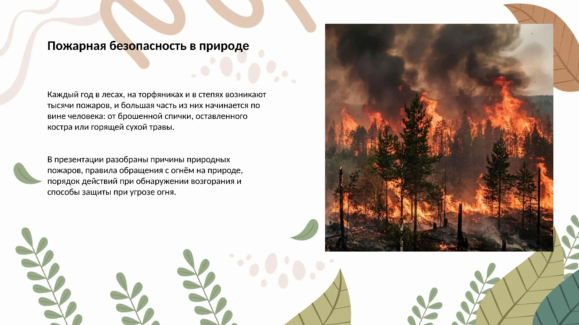 Соблюдение пожарной безопасности в природной среде - готовая презентация по ОБЖ