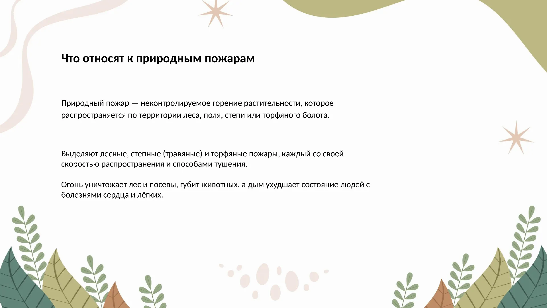 Что относят к природным пожарам