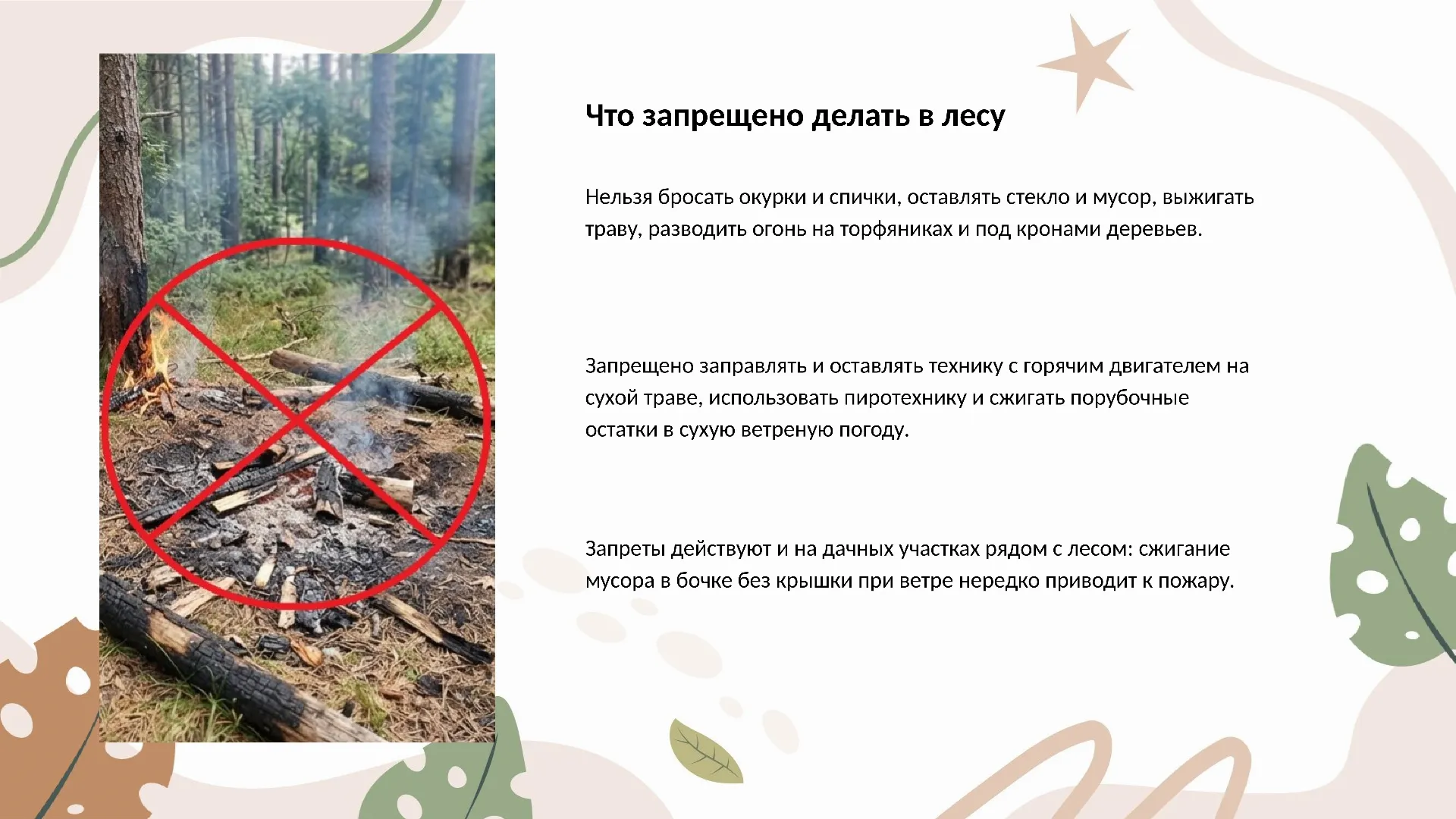 Что запрещено делать в лесу